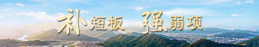 補短板 強弱項